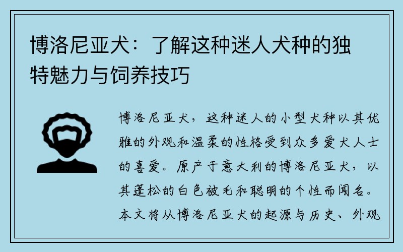 博洛尼亚犬：了解这种迷人犬种的独特魅力与饲养技巧